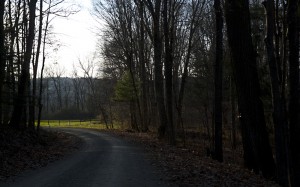 Kinderhook Lane