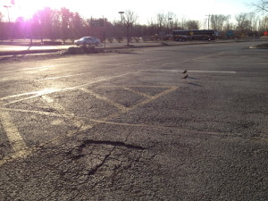 plovers, crossgates mall